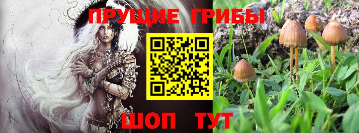Галлюциногенные грибы мицелий Советск
