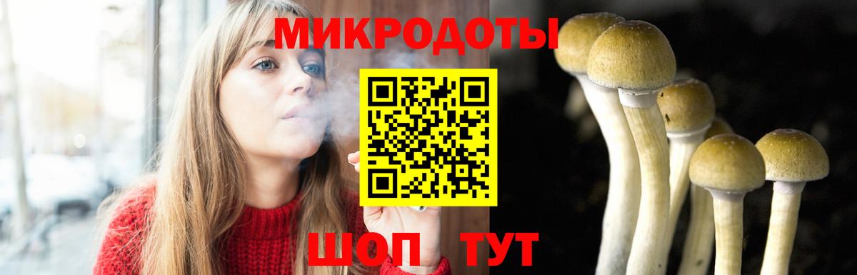 Советск  Галлюциногенные грибы Psilocybine cubensis  дарнет шоп  Вход с VPN 