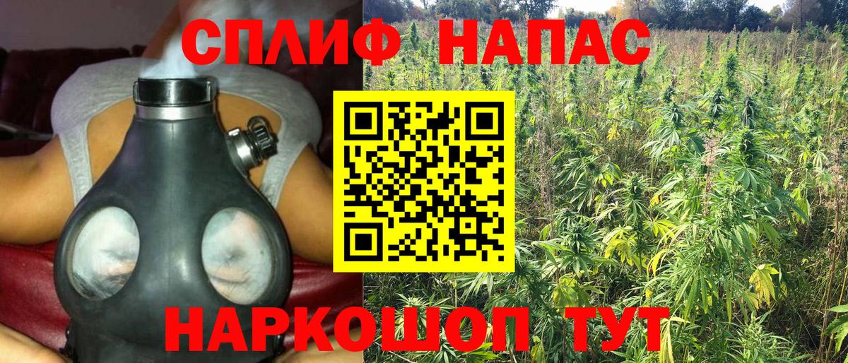 Канабис планчик  Каннабис Bruce Banner  Советск  Марихуана OG Kush  Вход с VPN 